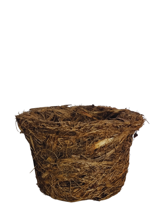 Agave fiber pot (large)