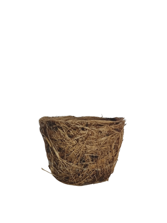 Agave fiber pot (small)